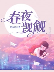 春夜觊觎姜吟傅云川阅读