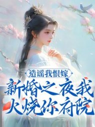 主角是木婉云沈阔的