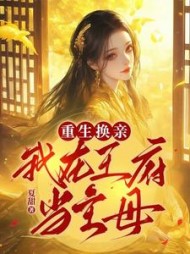 重生换亲：我在王府当主母阅读