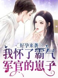 主角是陈晓莹顾城的
