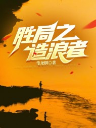 宦海之造浪者陆轩