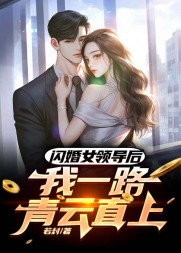 闪婚女领导后,我一路青云直上最新