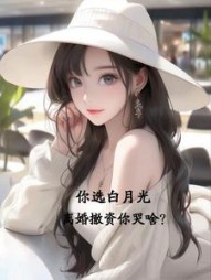 你选白月光，离婚撤资你哭啥？阅读