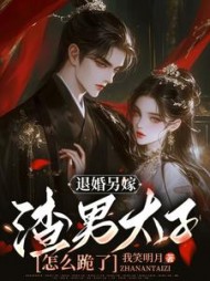 宠妾灭妻?转嫁后我带皇子夺王位