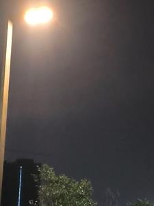小黑传奇阅读