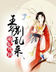 萌妃驾到：王爷别乱来